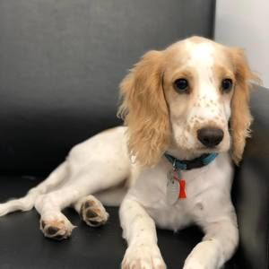 Meet your Posher, Michaela